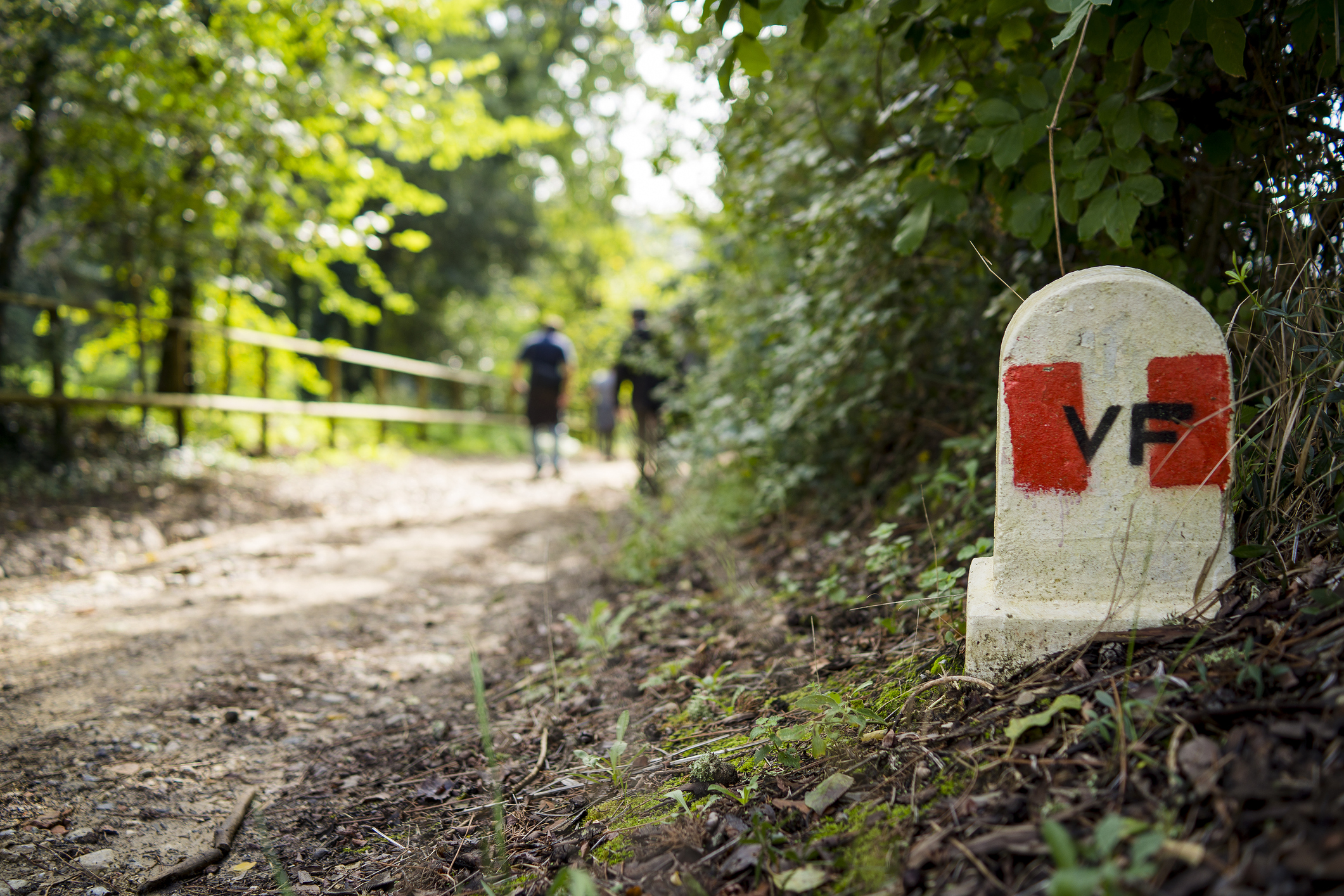 Via Francigena tutte le tappe e quello che bisogna sapere