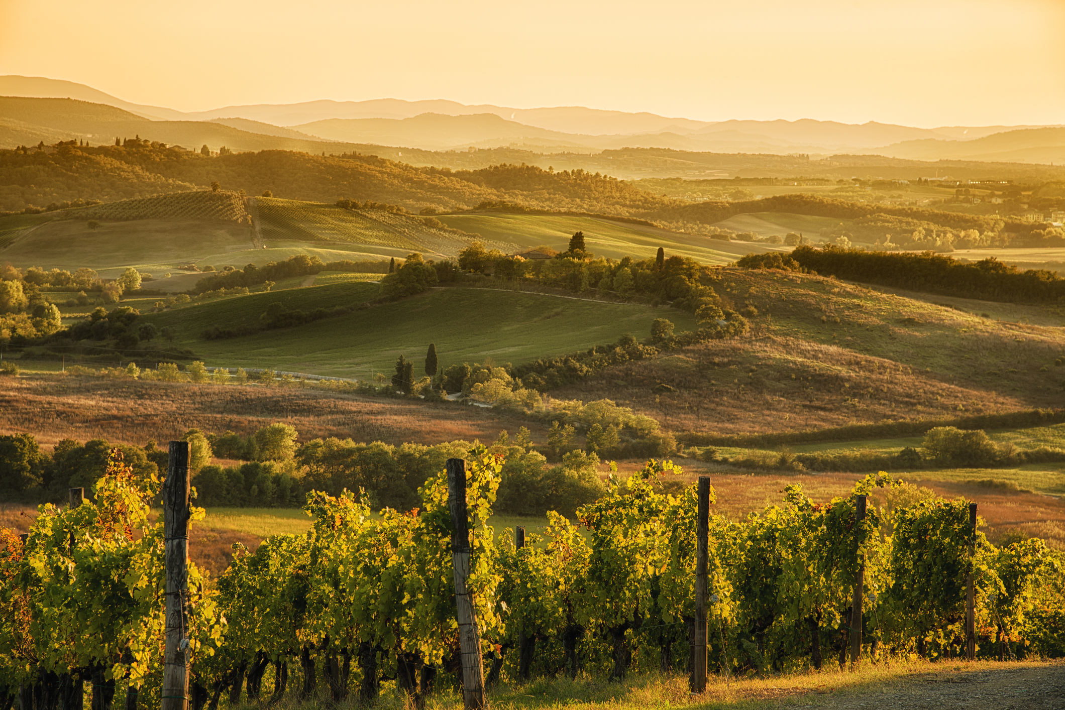 Toscana, colline del Chianti: tre itinerari trekking da percorrere in  autunno