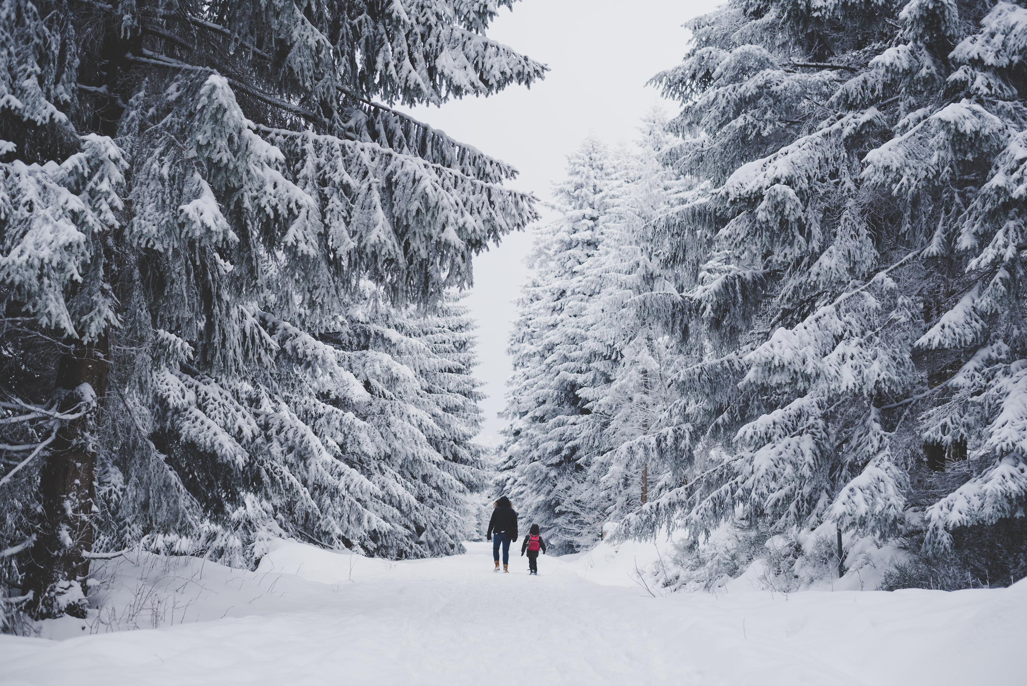 Come scegliere l'abbigliamento da trekking invernale: 6 consigli