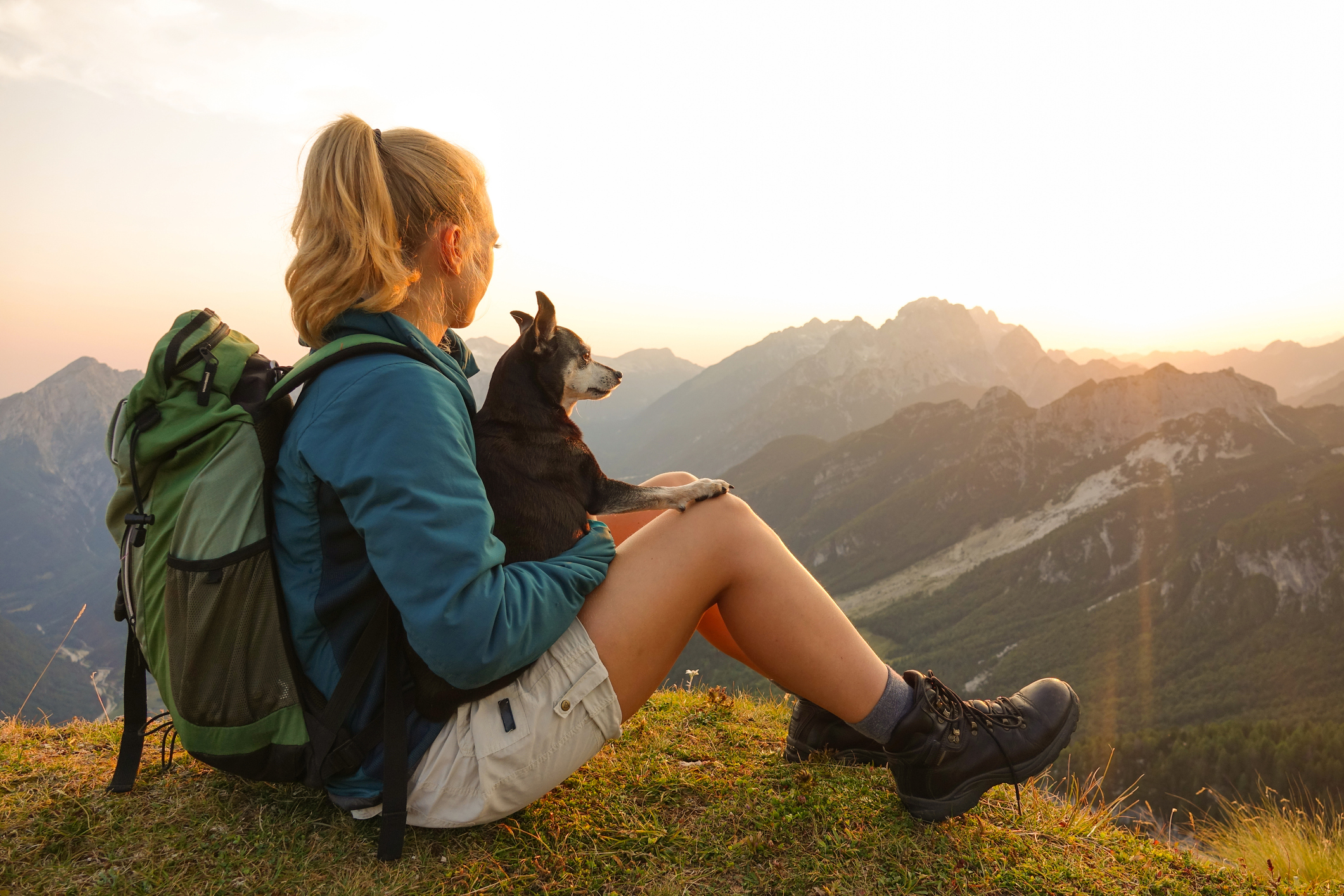 Consigli per camminare insieme al cane attrezzature e suggerimenti