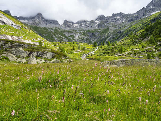 Lombardia, Sentiero Roma: trekking in tre tappe nel cuore della Val Masino