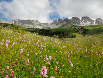 Trekking.it