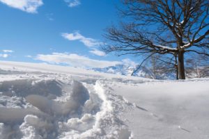 Valle Tesso: Colle San Giacomo – Alpe Santa Barbara