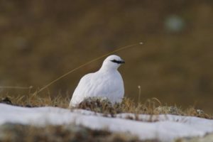 finestra sul Paradiso