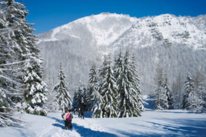 Le bianche pendici del Monte Giovo