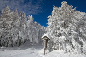 Monte Falco: sul tetto dell’Appennino Tosco-romagnolo