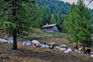 Monviso: sulla cima del re di pietra per la Via Normale