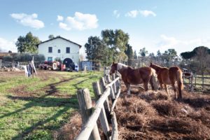 Tenuta del Cavaliere: il percorso di visita escursionistico