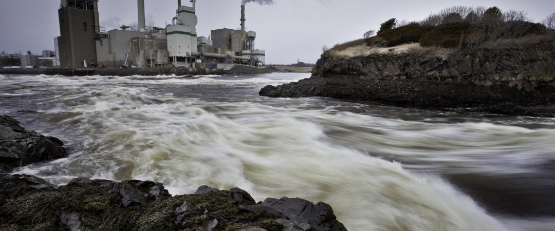 Inquinamento Dei Fiumi Solo Il 14 Si Salva Dai Danni Dell uomo
