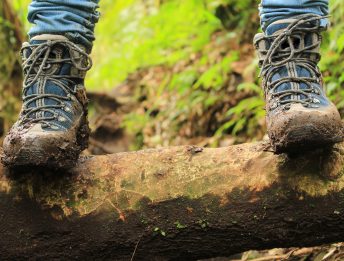Trekking.it