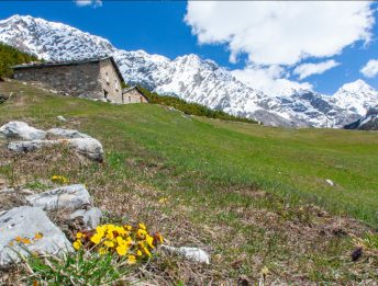 Trekking.it