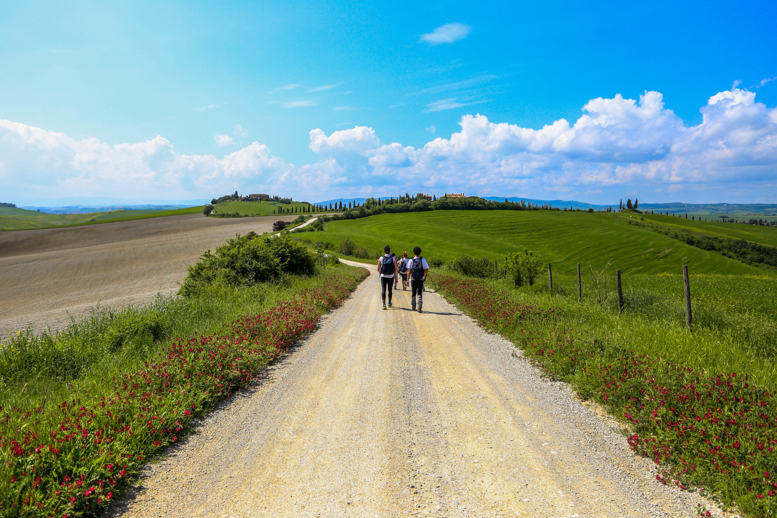 Trekking.it