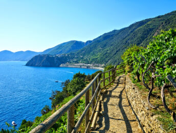Trekking.it