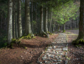 Trekking.it